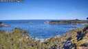 ./images/calvert/foggy-cove/20260601/foggy-cove20260601_101001M.jpg