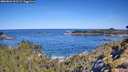 ./images/calvert/foggy-cove/20260601/foggy-cove20260601_101501M.jpg