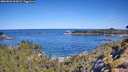 ./images/calvert/foggy-cove/20260601/foggy-cove20260601_102001M.jpg