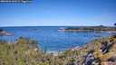 ./images/calvert/foggy-cove/20260601/foggy-cove20260601_103002M.jpg