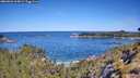 ./images/calvert/foggy-cove/20260601/foggy-cove20260601_104002M.jpg