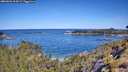./images/calvert/foggy-cove/20260601/foggy-cove20260601_104501M.jpg