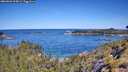 ./images/calvert/foggy-cove/20260601/foggy-cove20260601_105001M.jpg