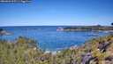 ./images/calvert/foggy-cove/20260601/foggy-cove20260601_105501M.jpg