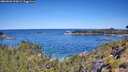 ./images/calvert/foggy-cove/20260601/foggy-cove20260601_110001M.jpg