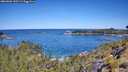 ./images/calvert/foggy-cove/20260601/foggy-cove20260601_110501M.jpg