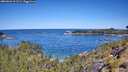 ./images/calvert/foggy-cove/20260601/foggy-cove20260601_111501M.jpg