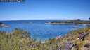 ./images/calvert/foggy-cove/20260601/foggy-cove20260601_112001M.jpg