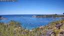 ./images/calvert/foggy-cove/20260601/foggy-cove20260601_112501M.jpg
