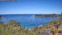 ./images/calvert/foggy-cove/20260601/foggy-cove20260601_113501M.jpg