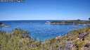 ./images/calvert/foggy-cove/20260601/foggy-cove20260601_114501M.jpg
