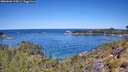./images/calvert/foggy-cove/20260601/foggy-cove20260601_115001M.jpg