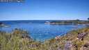 ./images/calvert/foggy-cove/20260601/foggy-cove20260601_115501M.jpg