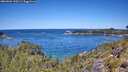./images/calvert/foggy-cove/20260601/foggy-cove20260601_120501M.jpg