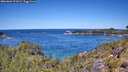./images/calvert/foggy-cove/20260601/foggy-cove20260601_121001M.jpg