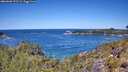 ./images/calvert/foggy-cove/20260601/foggy-cove20260601_121501M.jpg