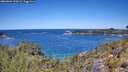 ./images/calvert/foggy-cove/20260601/foggy-cove20260601_122002M.jpg