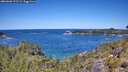 ./images/calvert/foggy-cove/20260601/foggy-cove20260601_122501M.jpg