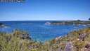./images/calvert/foggy-cove/20260601/foggy-cove20260601_123001M.jpg