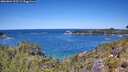 ./images/calvert/foggy-cove/20260601/foggy-cove20260601_123501M.jpg
