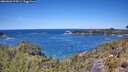 ./images/calvert/foggy-cove/20260601/foggy-cove20260601_124501M.jpg