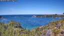./images/calvert/foggy-cove/20260601/foggy-cove20260601_130001M.jpg