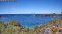./images/calvert/foggy-cove/20260601/foggy-cove20260601_131001M.jpg