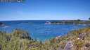 ./images/calvert/foggy-cove/20260601/foggy-cove20260601_131501M.jpg