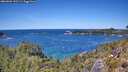 ./images/calvert/foggy-cove/20260601/foggy-cove20260601_132501M.jpg