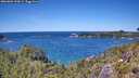 ./images/calvert/foggy-cove/20260601/foggy-cove20260601_133001M.jpg