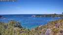 ./images/calvert/foggy-cove/20260601/foggy-cove20260601_134501M.jpg