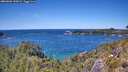 ./images/calvert/foggy-cove/20260601/foggy-cove20260601_135001M.jpg