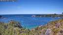 ./images/calvert/foggy-cove/20260601/foggy-cove20260601_135501M.jpg