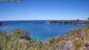 ./images/calvert/foggy-cove/20260601/foggy-cove20260601_141001M.jpg