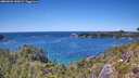 ./images/calvert/foggy-cove/20260601/foggy-cove20260601_142001M.jpg