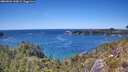 ./images/calvert/foggy-cove/20260601/foggy-cove20260601_143002M.jpg