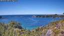 ./images/calvert/foggy-cove/20260601/foggy-cove20260601_144001M.jpg