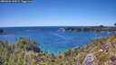 ./images/calvert/foggy-cove/20260601/foggy-cove20260601_144501M.jpg