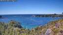 ./images/calvert/foggy-cove/20260601/foggy-cove20260601_145501M.jpg
