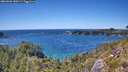./images/calvert/foggy-cove/20260601/foggy-cove20260601_150501M.jpg
