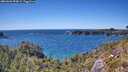 ./images/calvert/foggy-cove/20260601/foggy-cove20260601_153002M.jpg