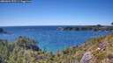 ./images/calvert/foggy-cove/20260601/foggy-cove20260601_153501M.jpg