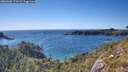./images/calvert/foggy-cove/20260601/foggy-cove20260601_171001M.jpg