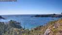 ./images/calvert/foggy-cove/20260601/foggy-cove20260601_173501M.jpg