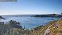 ./images/calvert/foggy-cove/20260601/foggy-cove20260601_182501M.jpg