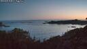 ./images/calvert/foggy-cove/20260602/foggy-cove20260602_044001M.jpg