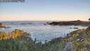 ./images/calvert/foggy-cove/20260602/foggy-cove20260602_060501M.jpg