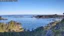 ./images/calvert/foggy-cove/20260602/foggy-cove20260602_070501M.jpg