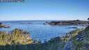 ./images/calvert/foggy-cove/20260602/foggy-cove20260602_071002M.jpg
