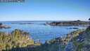 ./images/calvert/foggy-cove/20260602/foggy-cove20260602_073501M.jpg
